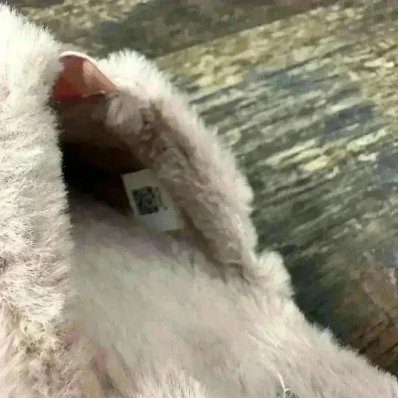 Toms Women’s Slippers Pink Fur Size 10 - Picture 5 of 6